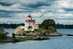 Seagulls Fly Around Pomham Rocks Lighthouse